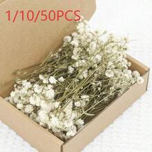 1/10/50Pcs Pure White Artificial Daisies, Exquisite Texture, Boho Style DIY Floral Supplies For Wreath & Table Decor, Decorations For Wedding, Home, Office, Garden & Party, Great Holiday Ornaments & Gifts - Multicolor - View 11