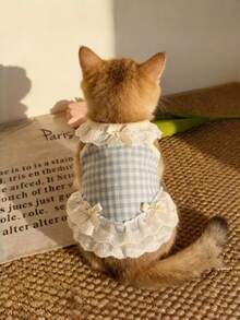 1 Stück Katzenkleidung Sommer dünne Weste Anti-Haarverlust Schleife Spitze Ragdoll goldfarben Haustier Hund Trägerhemd, Hundekleidung Welpe Sommer Outfit Haustier dünne Weste Bichon kleiner Hund Katzenkleidung 2026 neues Prinzessinnenkleid - Babyblau - Übersicht 7