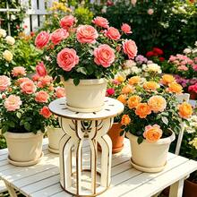 1pc Wooden Shaped Planter Stand, Desktop Greenery Plant Holder, Nordic Style Succulent Display Rack, Suitable For Home, Office, Cafe, Flower Shop Decoration, Ideal Housewarming, Birthday, Graduation Gift For Greenery And Flower Lovers - A - View 4