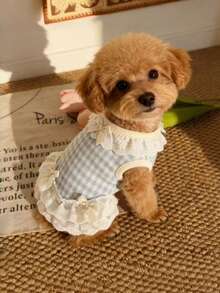 1 Stück Katzenkleidung Sommer dünne Weste Anti-Haarverlust Schleife Spitze Ragdoll goldfarben Haustier Hund Trägerhemd, Hundekleidung Welpe Sommer Outfit Haustier dünne Weste Bichon kleiner Hund Katzenkleidung 2026 neues Prinzessinnenkleid - Babyblau - Übersicht 9