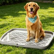 Large Size Dog Potty Tray With Removable Pee Post, Grid Mesh Anti-Leak Indoor Puppy Training Toilet, Anti-Splash Pet Pee Pad Holder For Medium Large Dogs House Training - View 1