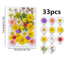 Natural Dried Pressed Flowers, Suitable For Candle Decoration, Resin DIY Crafts, Bookmarks, Jewelry Making, Candle Making, Handmade Soap Making, Phone Cases, Mirror Decoration, Notebooks - C - View 22