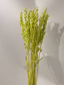 16/31/61/81 piezas Ramo de flores de avena artificial blanca, tallos de trigo de avena falsos blanqueados, adecuado para decoración de boda y Navidad, decoración del hogar DIY, pequeño arreglo floral artificial, decoración de pasteles - Fruta verde - Ver 3
