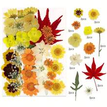 天然壓花，適用於蠟燭裝飾、樹脂DIY手工藝、書籤、珠寶製作、蠟燭製作、手工皂製作、手機殼、鏡子裝飾、筆記本 - B - 查看 19