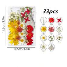 Natural Dried Pressed Flowers, Suitable For Candle Decoration, Resin DIY Crafts, Bookmarks, Jewelry Making, Candle Making, Handmade Soap Making, Phone Cases, Mirror Decoration, Notebooks - C - View 24