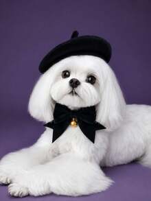 Knitted Beret + Velvet Bow Collar Set, Universal For Cats And Dogs, Photo Prop Accessory - Multicolor - View 9