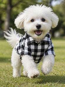 1 pieza Camisa de moda minimalista y fresca para perro/Diseño de doble color a cuadros con decoración de líneas de contraste/Camisa de manga corta transpirable y ajustada/Ropa para perro pequeño Teddy Corgi Bichon Schnauzer - Blanco y Negro - Ver 4