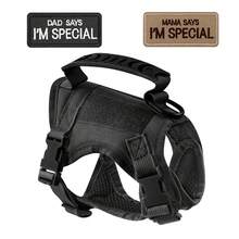 Tactical Cat Vest Leash Set, Includes 2 Patches, Escape-Proof Cat Leash Set, Adjustable Soft Mesh Large Cat Vest, With Rubber Handle For Easy Control - Multicolor - View 10