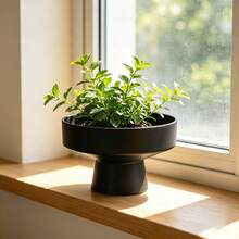 Modern Minimalist Black Planter, Wide Shallow Base With High Leg Design Plant Container, Succulent Plant Pot With Stand, Modern Wide Shallow High Leg Base Plant Container, Elevated Design For Better Air Circulation - A - View 2