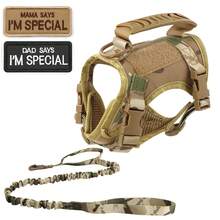 Tactical Cat Vest Leash Set, Includes 2 Patches, Escape-Proof Cat Leash Set, Adjustable Soft Mesh Large Cat Vest, With Rubber Handle For Easy Control - Multicolor - View 16