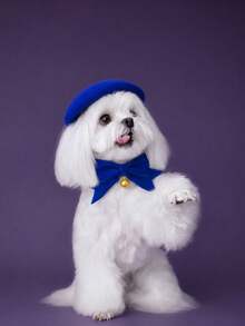 Knitted Beret + Velvet Bow Collar Set, Universal For Cats And Dogs, Photo Prop Accessory - Multicolor - View 8