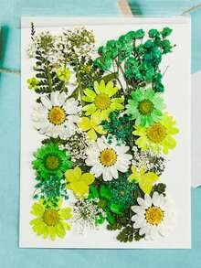 Natural Dried Pressed Flowers, Suitable For Candle Decoration, Resin DIY Crafts, Bookmarks, Jewelry Making, Candle Making, Handmade Soap Making, Phone Cases, Mirror Decoration, Notebooks - C - View 16