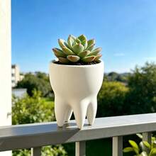 Tooth-Shaped Succulent Planter, Adds Playful Charm To Your Decor, Suitable For Planting Succulents Or Small Indoor Plants - A - View 1