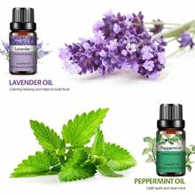 PHATOIL 1件 10ml/0.33fl.Oz 精油，適用於擴香機、加濕器、芳香療法、按摩、沐浴放鬆，薰衣草、茉莉、尤加利、香草、薄荷、檀香、乳香、甜橙、檸檬、玫瑰、佛手柑、茶樹、丁香、香茅 - 彩色 - 查看 2