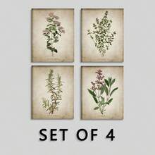 4件裝無框經典復古植物帆布藝術畫，居家客廳裝飾牆飾，生日畢業禮物海報 - 彩色 - 查看 8