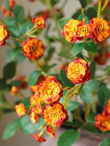 2pcs Artificial Wild Rose Plant Decor, Realistic UV-Resistant Faux Multi-Flower Roses, Suitable For Wedding Bridal Engagement, Birthday Holiday Party Decoration, Farmhouse Style, Living Room, Tabletop Centerpiece, Vase Home Decor - Multicolor - View 10