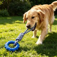 Juguete de cuerda de algodón para perros - Juguete interactivo de tirón con asa de bucle y estampado de pata de gallo colorido, juguete de masticar anudado para la limpieza de los dientes - Multicolor - Ver 11