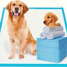 1pc/20pcs/40pcs Pet Pee Pads Dog Training Pads, Thickened Pee Pads, No Leakage, Essential For Pet Owners, Keep Your Home Environment Clean And Odor-Free, Best Gift For Dogs, Pet Supplies, Pet Pee Pads - one-size - View 4