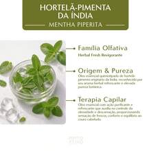 Óleo Essencial Puro Hortelã-Pimenta da Índia Phyto Ativo 15ml - Lavanda - Visão 4