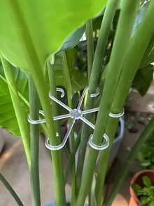 4pcs/1set Plant Stem Support Clips, Suitable For Indoor Potted Plants, Home Garden, Botanical Garden, Park, School Campus, Cafe, Restaurant, Office, Etc. - Multicolor - View 2
