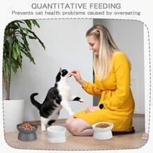 Slanted Design Pet Bowl, Suitable For Flat-Faced Kittens And Other Pets, Cat Bowl, Dog Bowl, Pet Feeding Bowl, Pet Supplies - Suitable for Both Cats and Dogs - View 7