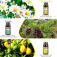 PHATOIL 1件 10ml/0.33fl.Oz 精油，適用於擴香機、加濕器、芳香療法、按摩、沐浴放鬆，薰衣草、茉莉、尤加利、香草、薄荷、檀香、乳香、甜橙、檸檬、玫瑰、佛手柑、茶樹、丁香、香茅 - 彩色 - 查看 3