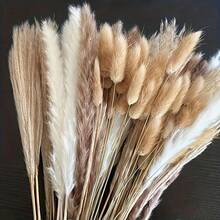 100 PCS Pampas Grass Bundle - Dried Rattan Reeds For Boho Home Decor, Wedding Centerpieces, Christmas Party Supplies. - 100 PCS - View 1