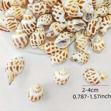 100g / 200g / 300g Natural Seashells, Suitable For Handmade DIY, Beach Party, Aquarium Landscaping And Home Decor, Holiday Decorations; Natural Shell DIY Handmade Materials, Can Be Used For Micro Landscapes, Fish Tank Decor, Mediterranean Wind Chimes, Photo Frame Making And Other Decorative Accessories; Handmade Commemorative Small Gifts, Highly Attractive Self-Made Ocean Style Complete DIY Materials; Rich And Unique Shell Wall Decorations - Set - View 7