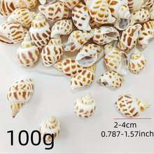 100g / 200g / 300g Natural Seashells, Suitable For Handmade DIY, Beach Party, Aquarium Landscaping And Home Decor, Holiday Decorations; Natural Shell DIY Handmade Materials, Can Be Used For Micro Landscapes, Fish Tank Decor, Mediterranean Wind Chimes, Photo Frame Making And Other Decorative Accessories; Handmade Commemorative Small Gifts, Highly Attractive Self-Made Ocean Style Complete DIY Materials; Rich And Unique Shell Wall Decorations - Set - View 14