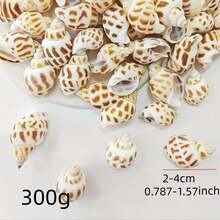 100g / 200g / 300g Natural Seashells, Suitable For Handmade DIY, Beach Party, Aquarium Landscaping And Home Decor, Holiday Decorations; Natural Shell DIY Handmade Materials, Can Be Used For Micro Landscapes, Fish Tank Decor, Mediterranean Wind Chimes, Photo Frame Making And Other Decorative Accessories; Handmade Commemorative Small Gifts, Highly Attractive Self-Made Ocean Style Complete DIY Materials; Rich And Unique Shell Wall Decorations - Set - View 13