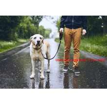 1pc 2-In-1 Retractable Elastic Dog Leash And Adjustable Collar For Cats And Dogs, Can Enhance Your Pet's Comfort In The Car, A Must-Have For Travel. The Dog Car Seat Cover Is Secured On The Headrest. - Black - View 8