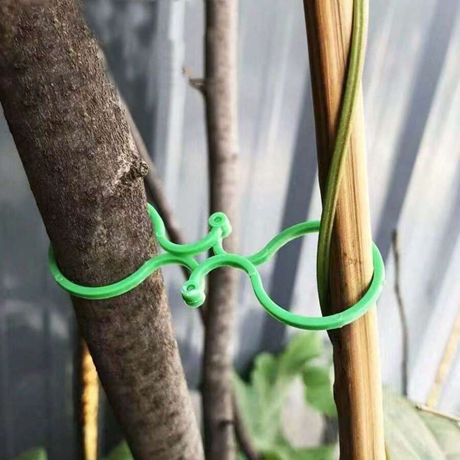 50/100 piezas Estacas de soporte para plantas, Estacas de soporte para trepar tomates - verde - Ver 1