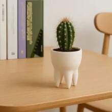 Tooth-Shaped Succulent Planter, Adds Playful Charm To Your Decor, Suitable For Planting Succulents Or Small Indoor Plants - A - View 3