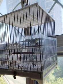 500cm通用鳥籠網格種子收集器，種子捕捉保護網罩，鸚鵡網罩自黏式透氣網，適用於室內圓形與方形籠，可修剪羽毛種子收集器－防止散落與髒亂 - 查看 10