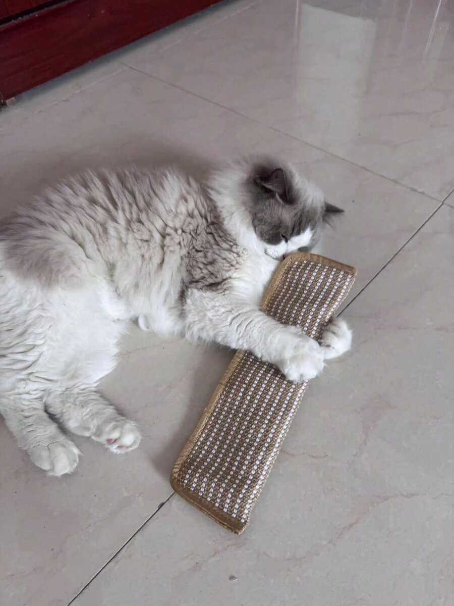 1pc Durable Cat Toy Pillow And Scratching Pad - Bite-Resistant Teething Bed Cover For Kittens, Soft, Mosquito-Repellent, Suitable For All Breeds And Sizes, Play And Furniture - Interactive Cat Toy, Suitable For Solo Play And Intimate Interaction - View 1