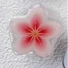 Popular Cross-Border Spring Floral Korean Ins Style Convenient Adhesive Expandable Phone Holder, Acrylic Desktop Decor, Slouchy Gift - Multicolor - View 5
