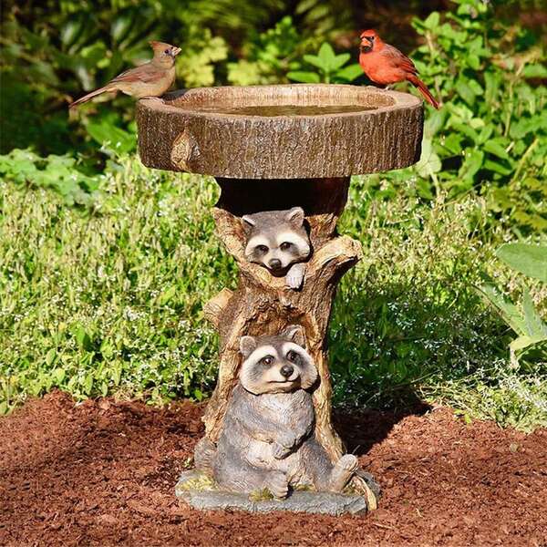 1 pieza Estatua de jardín para exteriores Escultura de mapache & Estatua ornamento de aspecto de madera de resina Animal Baño de pájaros Baño de pájaros de pie Cuenco de baño de pájaros Comederos de pájaros Estatua de jardín ornamento decoración Regalos de jardinería