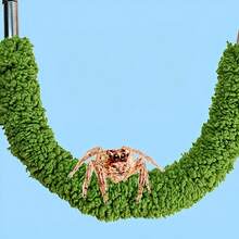 30cm Suction Cup Swinging Rope For Reptile Pets, Artificial Vine, Suitable For Snakes, Lizards, Geckos And Other Small Pets, Pet Fence Climbing Cotton Vine Decoration - Multicolor - View 10