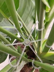 4pcs/1set Plant Stem Support Clips, Suitable For Indoor Potted Plants, Home Garden, Botanical Garden, Park, School Campus, Cafe, Restaurant, Office, Etc. - Multicolor - View 4