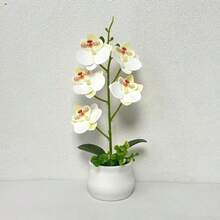 1pc Artificial Phalaenopsis Orchid Potted Plant, 11 Inch, 5 Exquisite Orchid Flowers, Suitable For Living Room, Entryway Or Desktop Decoration, Indoor/Outdoor Home Decor - Multicolor - View 13
