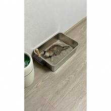 Sekop Kotoran Kucing, Sekop Kotak Pasir Kucing, Tersedia 2 Ukuran Jaring, Cocok untuk Kotoran Kucing Besar dan Kecil, Mudah Dibersihkan, Aksesori Kotak Pasir Kucing, Digunakan untuk Membersihkan Kotoran Kucing, Mudah Dicuci, Cocok untuk Rumah Tangga dengan Banyak Kucing, Ramah Hewan Peliharaan, Desain Sederhana, Terbuat dari Bahan S - 1 - View 2
