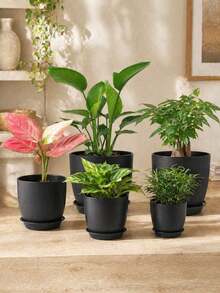 5个/1个 Utopia Home 花盆 - 室内排水花盆，适用于室内塑料花盆 - 非常适合盛放填充物或装饰房间、办公室、家居、新年、情人节 - 黑色 - 查看 2