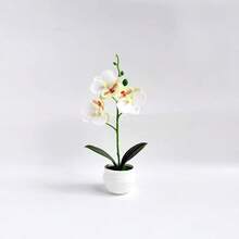 1pc Artificial Phalaenopsis Orchid Potted Plant, 11 Inch, 5 Exquisite Orchid Flowers, Suitable For Living Room, Entryway Or Desktop Decoration, Indoor/Outdoor Home Decor - Multicolor - View 14