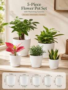 5个/1个 Utopia Home 花盆 - 室内排水花盆，适用于室内塑料花盆 - 非常适合盛放填充物或装饰房间、办公室、家居、新年、情人节 - 黑色 - 查看 5