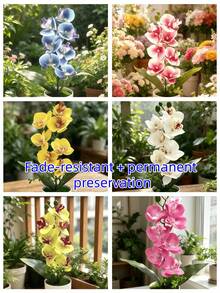 1pc Artificial Phalaenopsis Orchid Potted Plant, Realistic Fake Orchid Flower Bonsai, Silk Artificial Floral Decor, Maintenance-Free Artificial Flower Bonsai, Aesthetic Table Centerpiece Decoration For Living Room, Bedroom, Office, Wedding Garden, Home Desktop - Multicolor - View 8