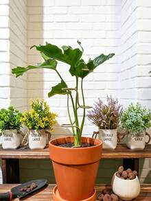 Plant Support Stake, Durable Metal Garden Stake, Suitable For Flowers And Herbs - 12.6 Inch (Approx. 32cm) Mesh Frame, Suitable For Indoor And Outdoor Plants, Easy To Use Support Structure, Enhanced Stability - Multicolor - View 7