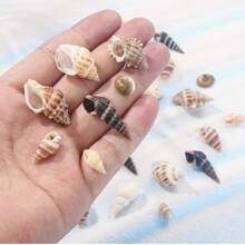 1000件裝混色小貝殼與海星裝飾品,盒裝不易碎,海灘風天然貝殼,適用於DIY珠寶製作、水族箱裝飾、派對蠟燭台裝飾、婚禮裝飾與手工項目,居家浴缸造景、小魚展示增美,適用於家居裝飾、花瓶填充物、蠟燭配件 - A - 查看 12