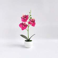 1pc Artificial Phalaenopsis Orchid Potted Plant, 11 Inch, 5 Exquisite Orchid Flowers, Suitable For Living Room, Entryway Or Desktop Decoration, Indoor/Outdoor Home Decor - Multicolor - View 15