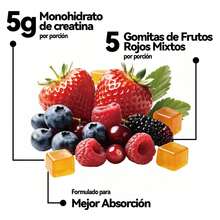 GWYNNE Protein - 60 Count - View 3