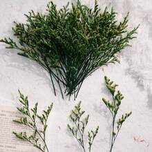 25/52/102/298 Pcs, Artificial White Mini Baby's Breath Flower Vase, Wedding Home Office Party Garden Card Making Decoration, DIY Decor - Green Lover Grass - View 3
